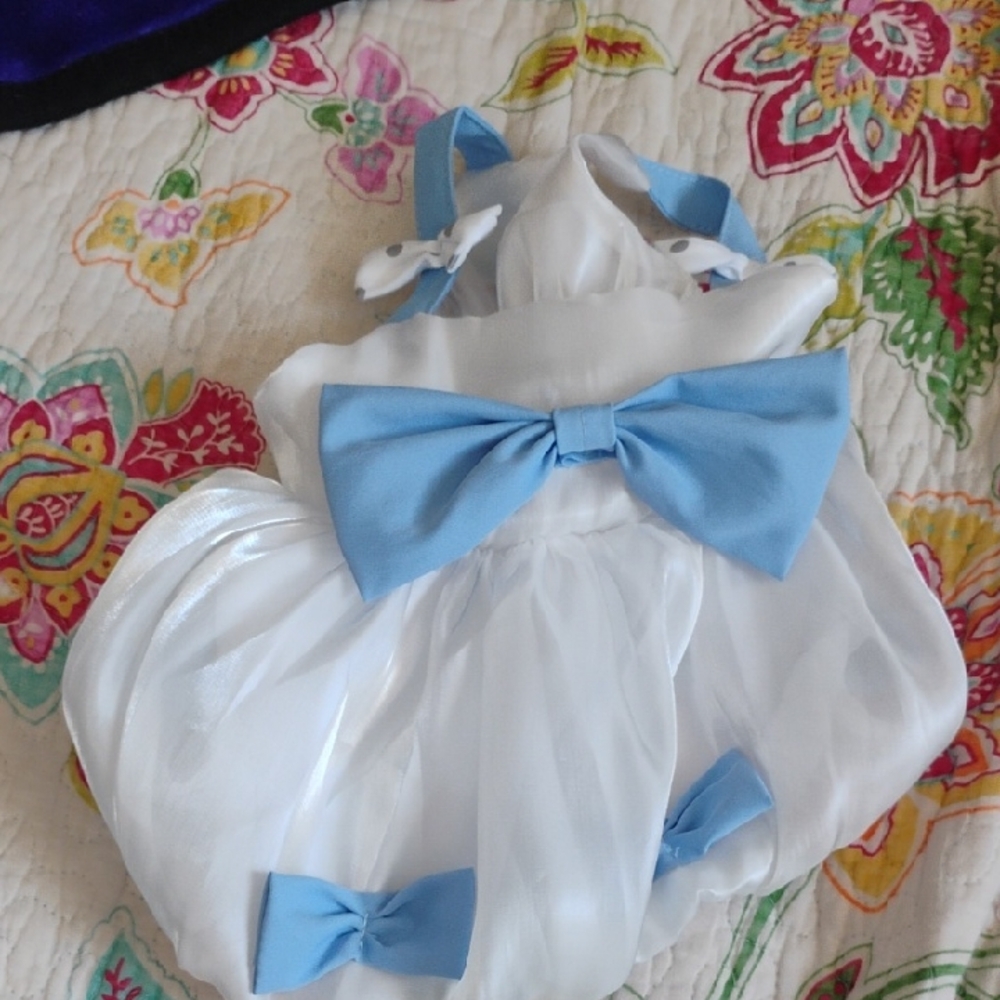 cute dog dress